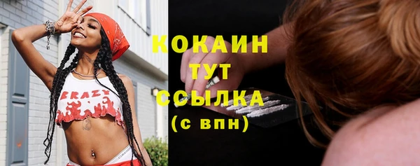 ГАЛЛЮЦИНОГЕННЫЕ ГРИБЫ Каменка