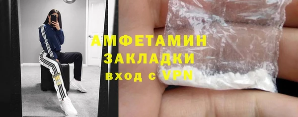 ГАЛЛЮЦИНОГЕННЫЕ ГРИБЫ Каменка