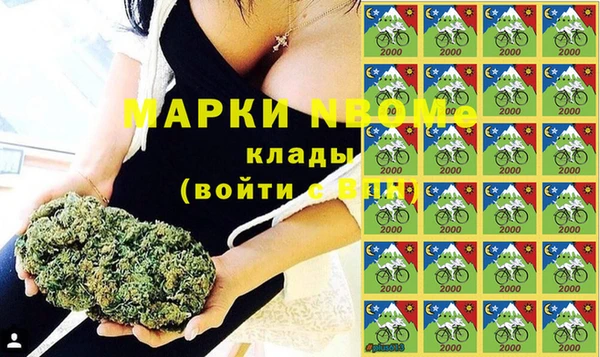 дживик Инта