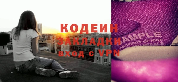ГАЛЛЮЦИНОГЕННЫЕ ГРИБЫ Каменка